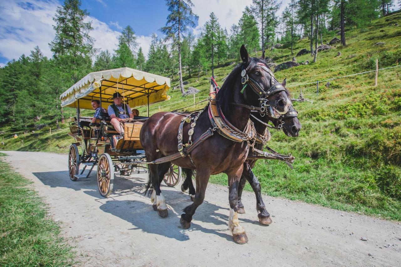 Muehlbacherhof Rennweg am Katschberg Exteriér fotografie